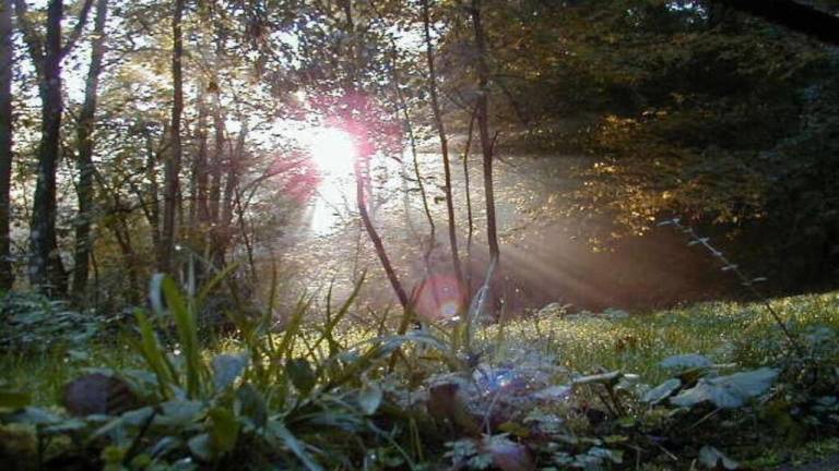 foto31