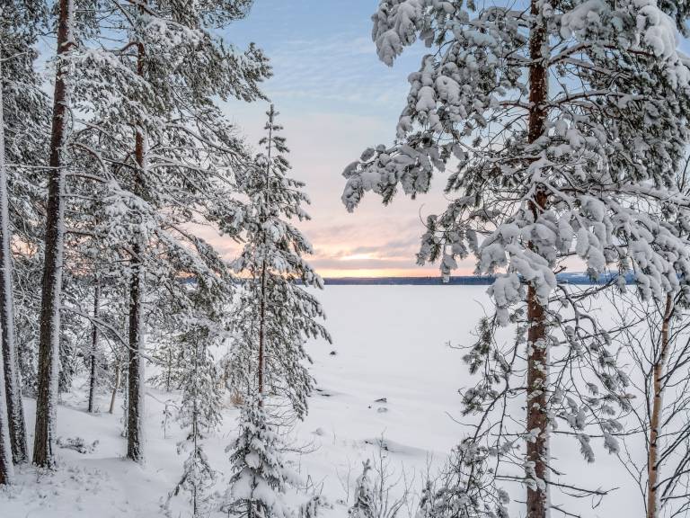 Lovely vacation home with sauna, garden & terrace | Nature view | Pets allowed — photo 4