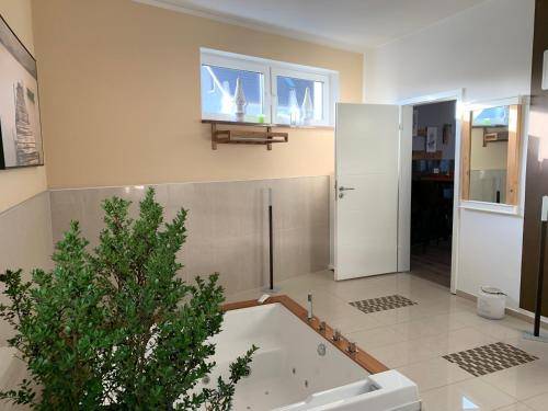 foto9