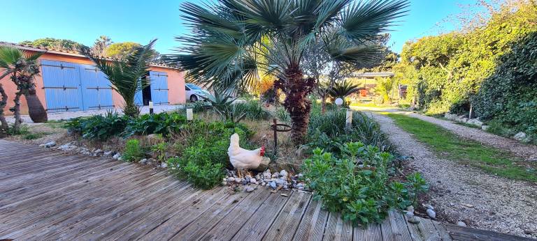 Wonderful studio with garden & patio | Garden view | Next to the beach | Pets allowed — photo 2