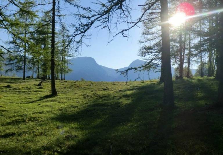 foto19