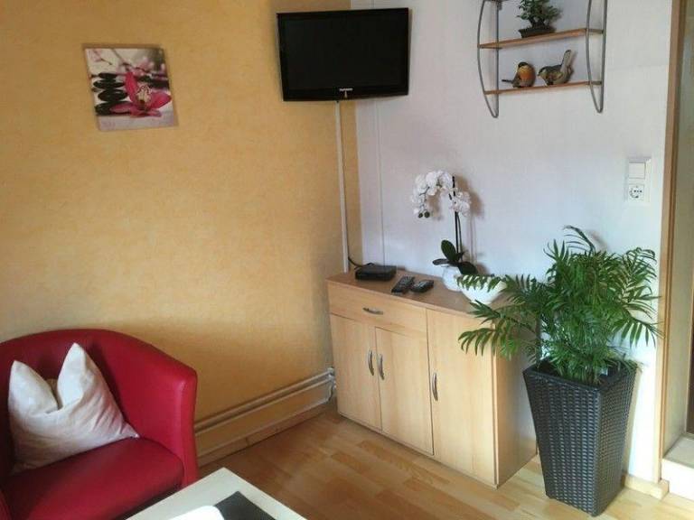 foto6