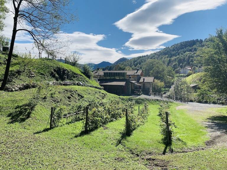 Agriturismo Il Talento nella Quiete Lago di Como: Camera Matrimoniale con colazione, in agriturismo tranquillo vicino al Lago di Como — photo 4