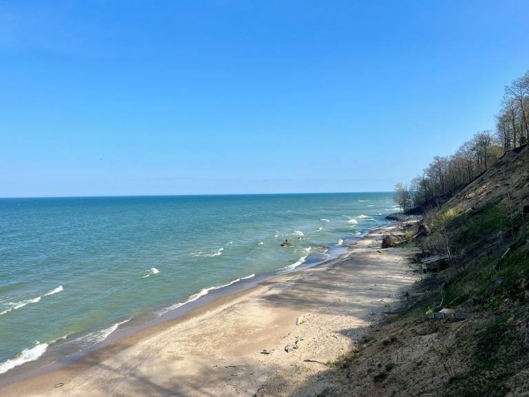 Cottage South Haven