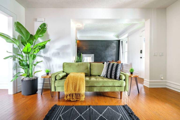Jungle House Boutique Suites – Short North & Convention Center — photo 2