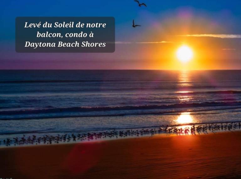 foto8