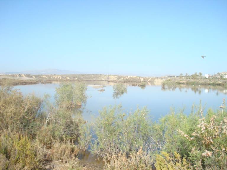 foto19