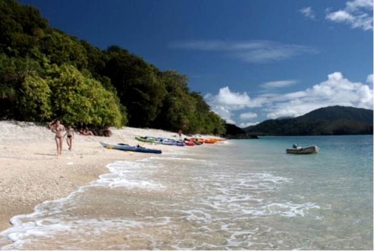 Camping Cape Tribulation