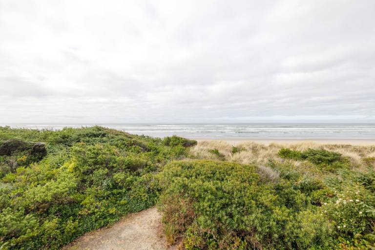 Chris's Oceanfront Getaway — photo 4