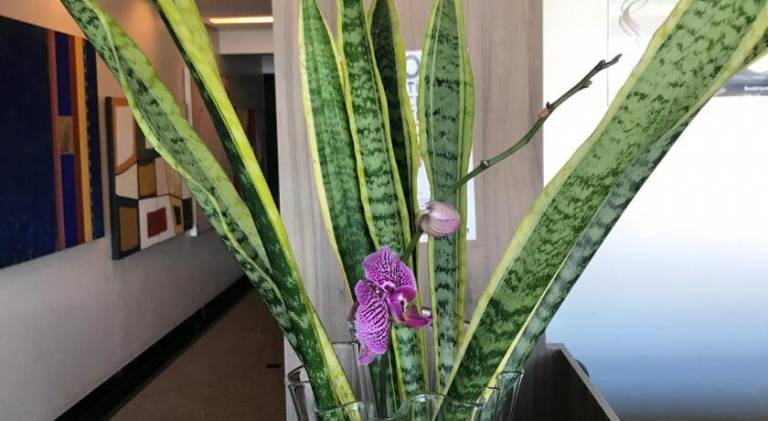 foto7