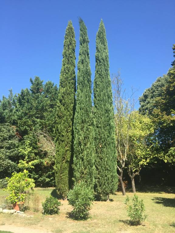 Longère Blauzac