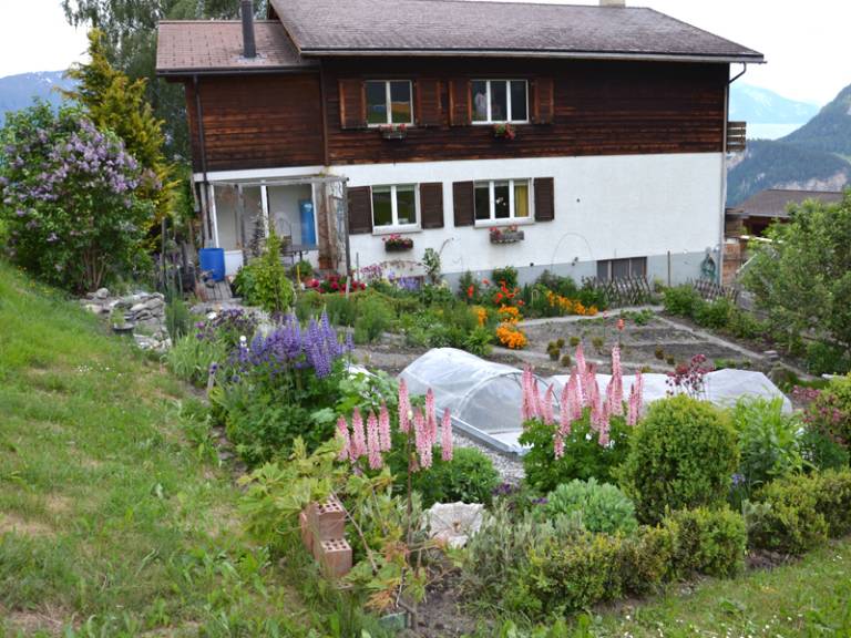 foto1