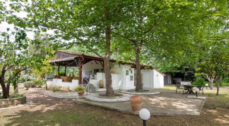 Summer Retreat in Sithonia FeelsLikeHome — photo 4