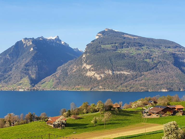 Ferienwohnung Faulensee