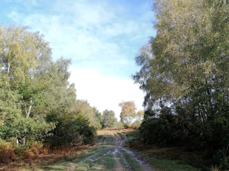 foto16