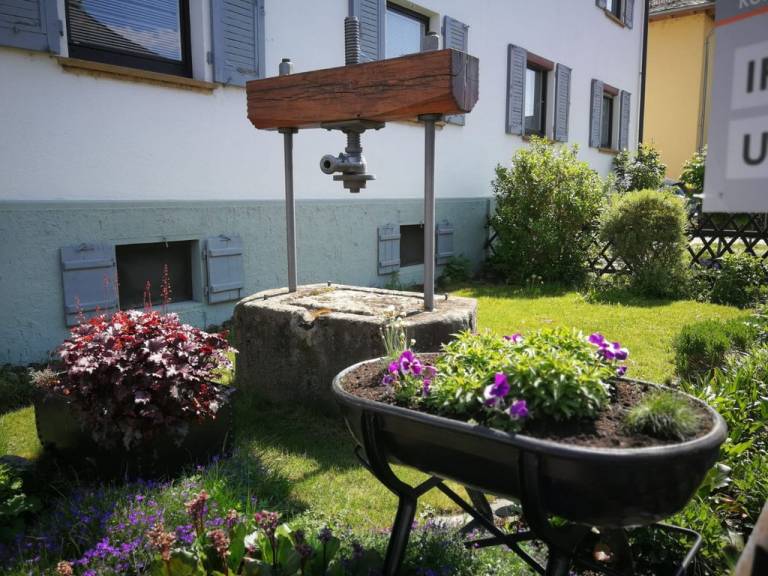 foto7