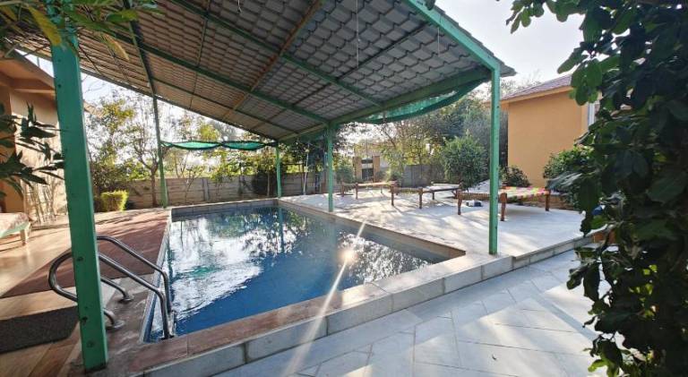 foto11