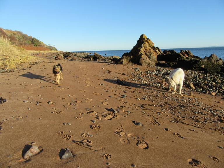 Cottage Rosemarkie