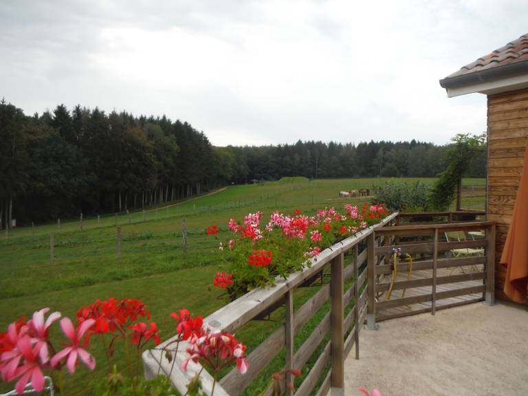 Family-oriented beautiful vacation home with yard, terrace & barbeque | Garden view | Suitable for remote work | Dogs allowed — photo 2