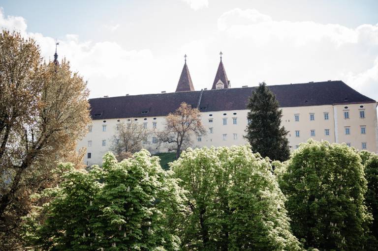 Landhotel Freitag — photo 5