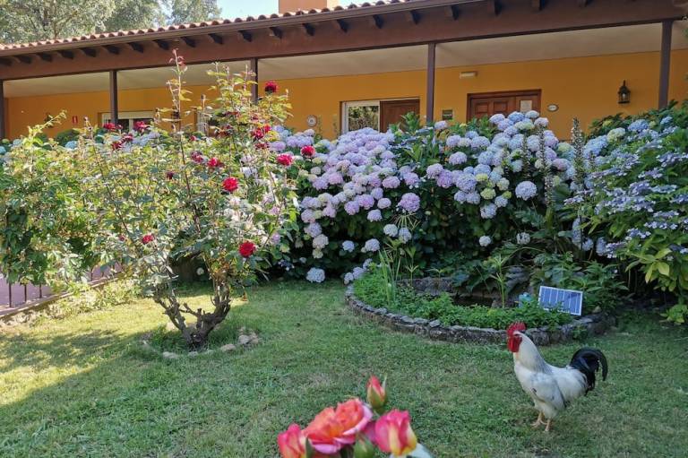 foto20