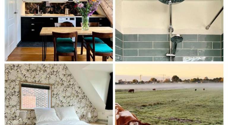 50 m² Apartment mit Hotelservice