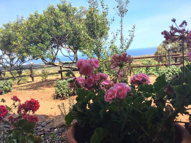 Agriturismo Su Nuragheddu: Unità 1 — photo 5