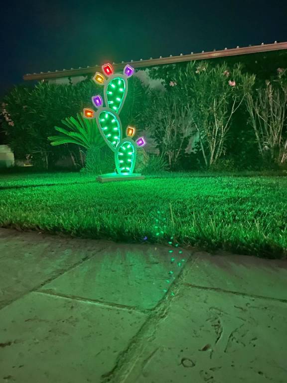 foto5