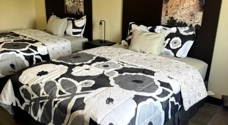 The Suite Inn — photo 2