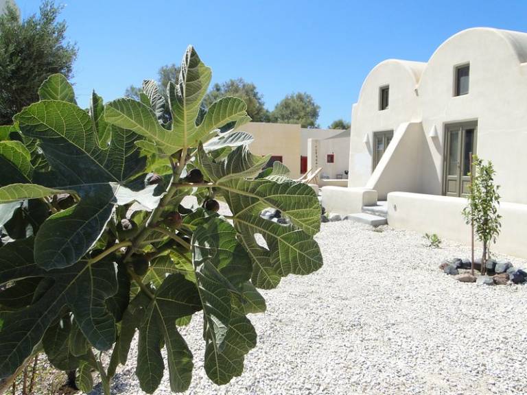 Maison de vacances  Archipel de Santorin