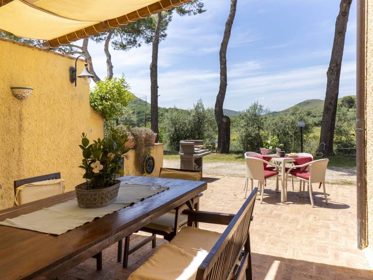 Fully equipped wonderful rental apartment with terrace, barbecue & pool | Sea view | Dogs allowed — photo 4