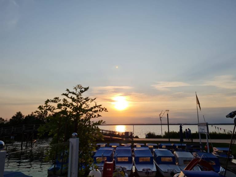 foto11