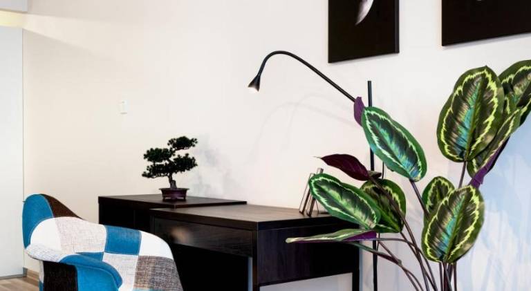 Rental apartment with pool — photo 4