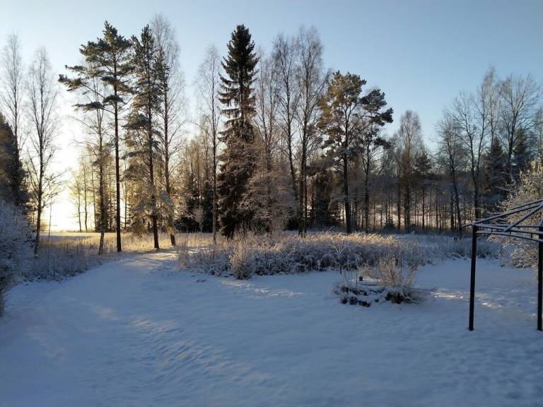 foto17