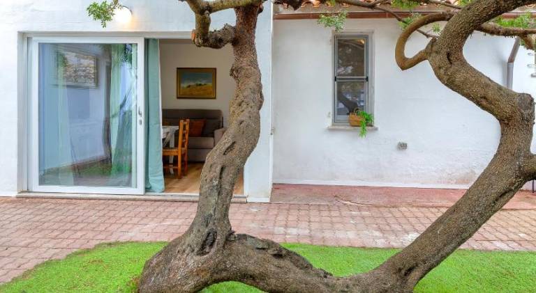 House | Close to the beach | Pets allowed — photo 5