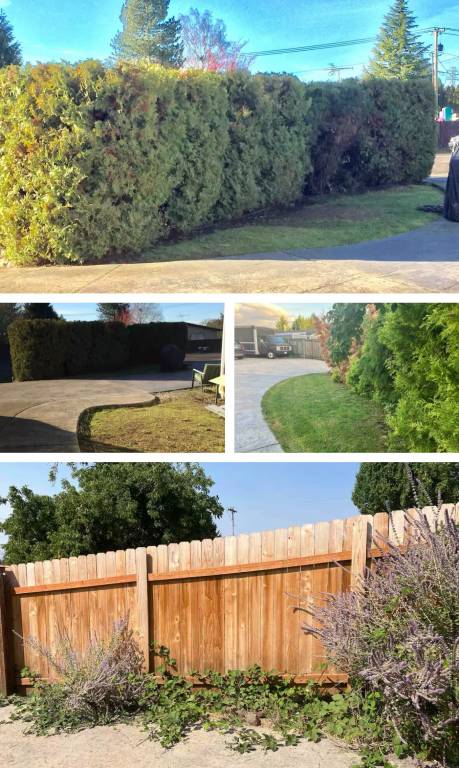 Mobile home Sunnyside - Walnut Grove