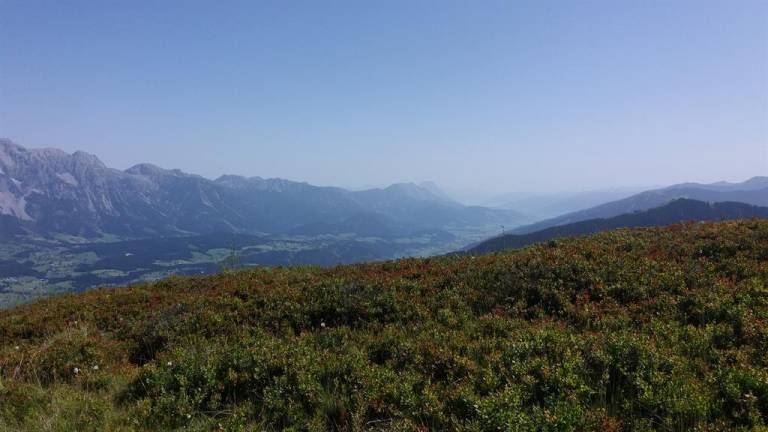 foto13
