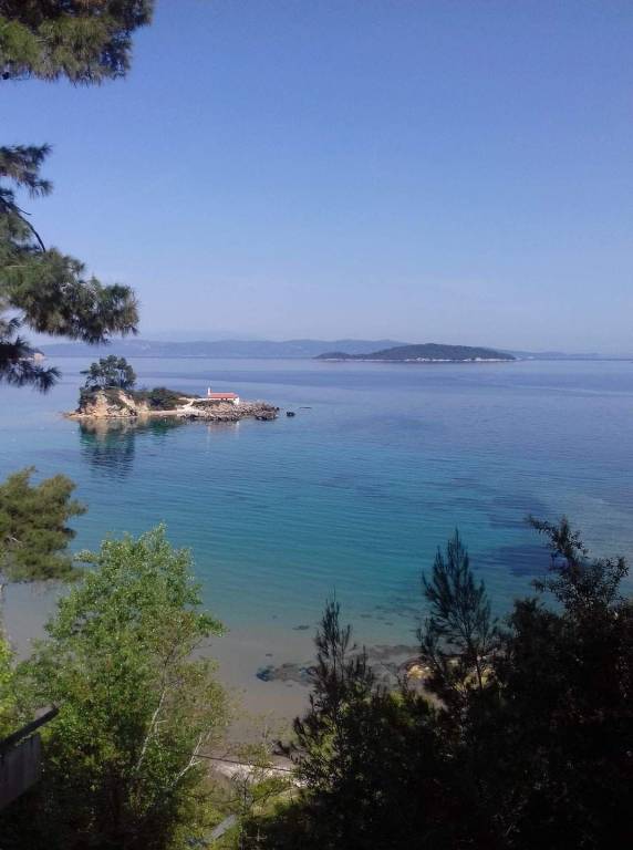foto41
