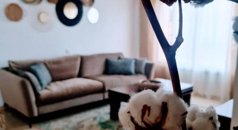 Apartment with 3 rooms for 6 persons in Haifa
