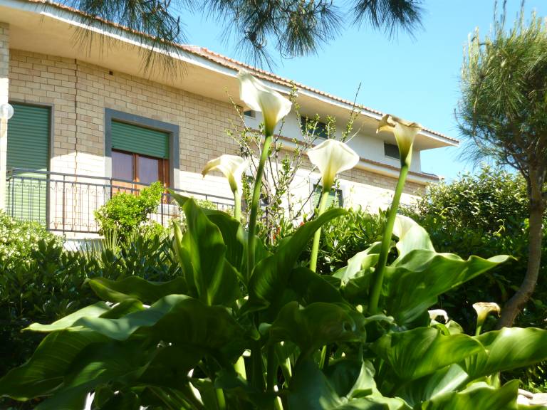 Family-friendly holiday apartment with pool, garden & patio | Sea view | Beach nearby | Pet-friendly — photo 3