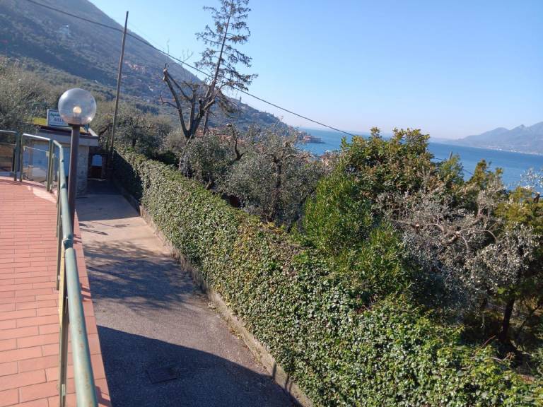 foto19