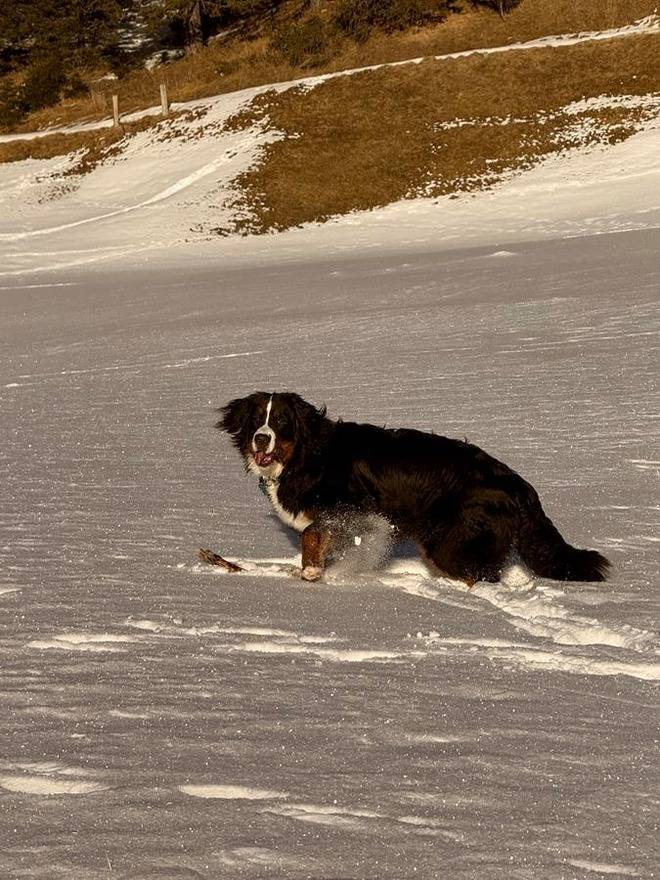 Ferienwohnung Nauders