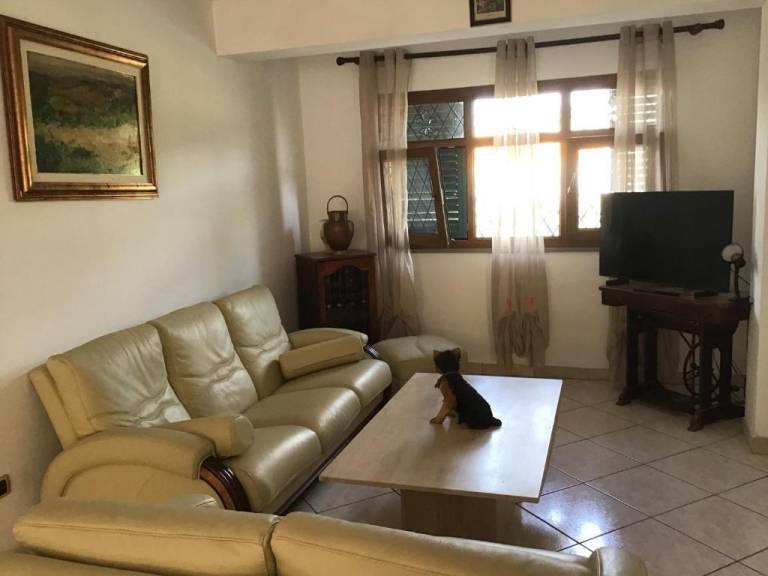 foto10