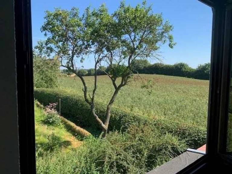 foto16