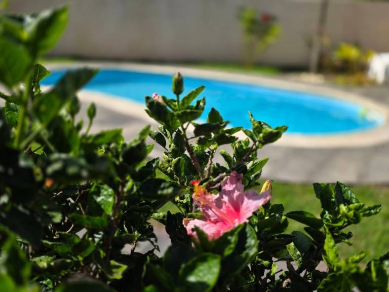 foto44