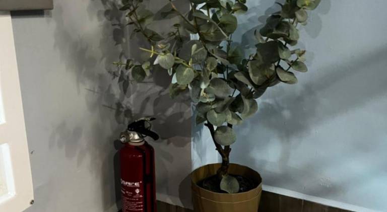 foto29