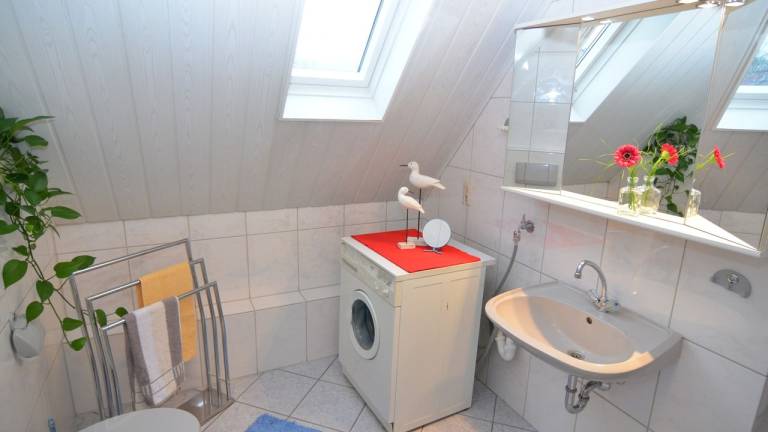 foto17
