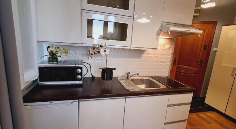 Rental apartment with 1 room for 3 persons — photo 3