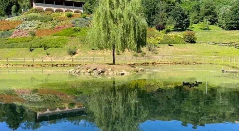 Nice farm with patio & garden | Pets allowed in Paratico
