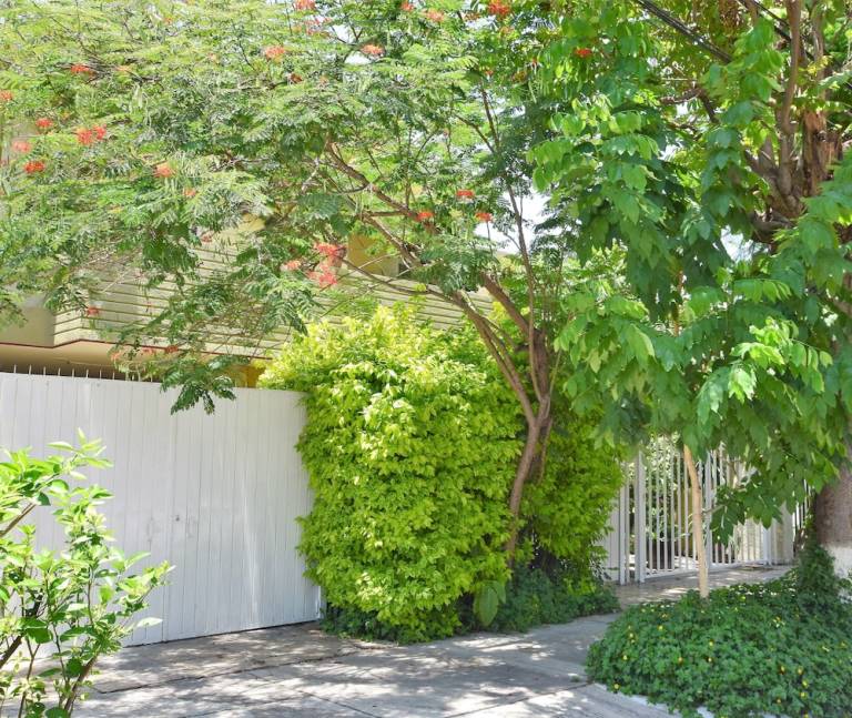 Accommodation  Guadalajara